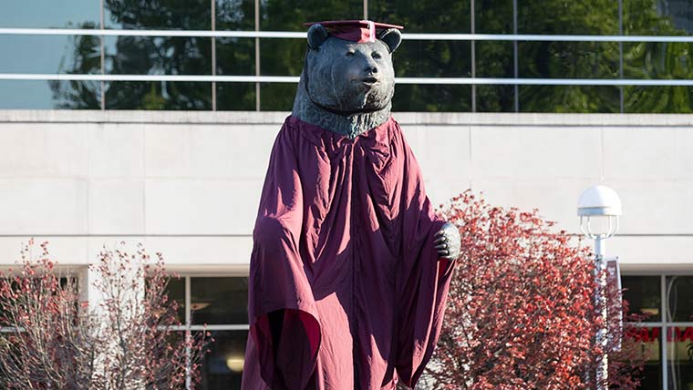 Bear statue at Plaster Student Union with commencement cap and gown. 