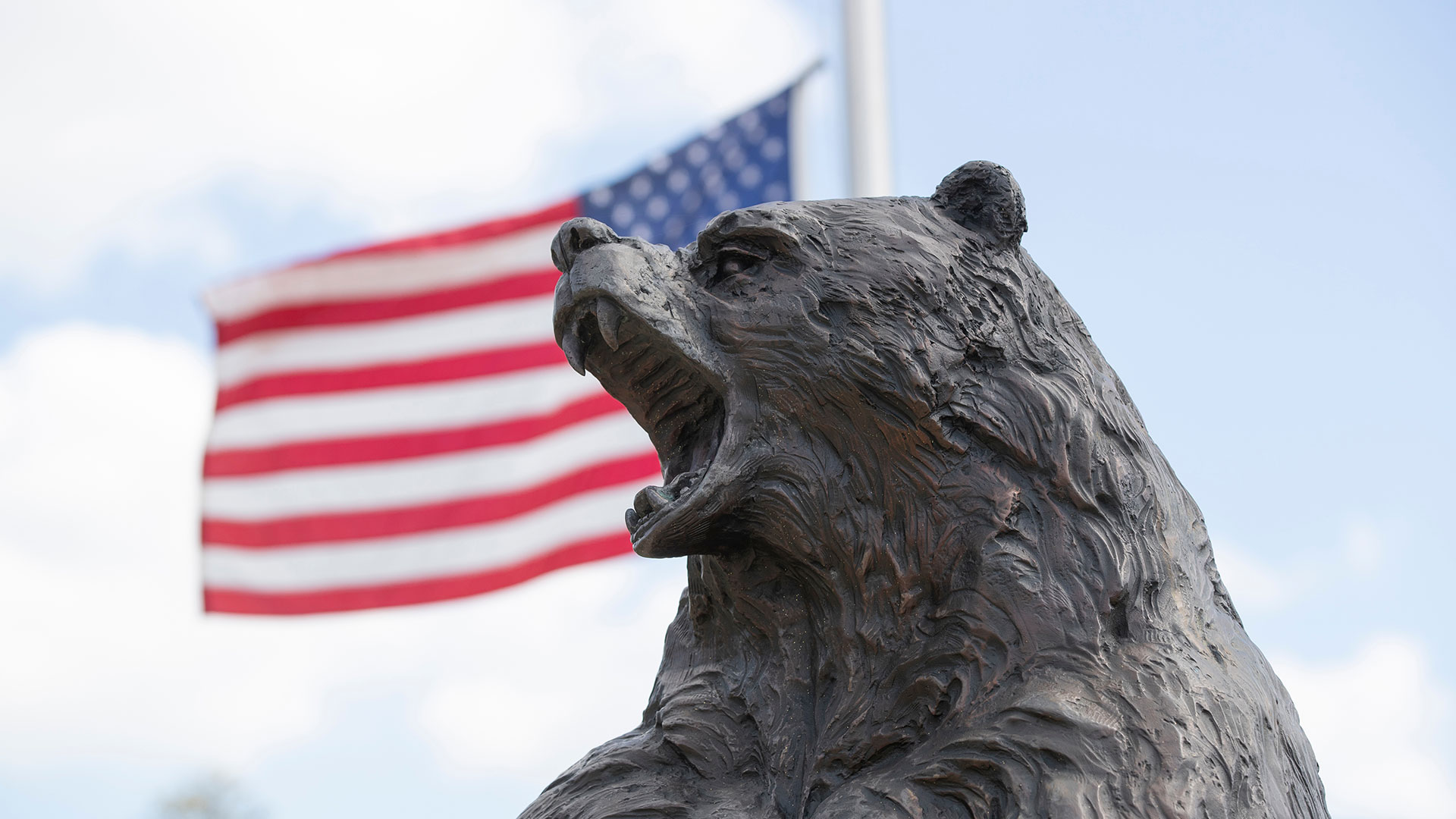 MSU Bear roars with U.S. flag waving in background